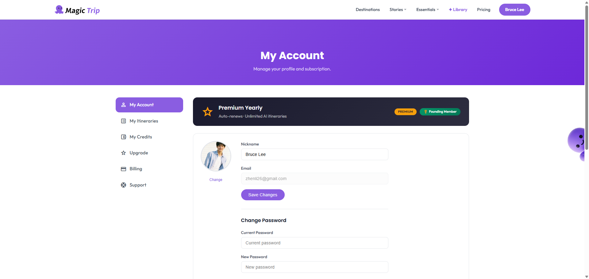 The account page with AI usage