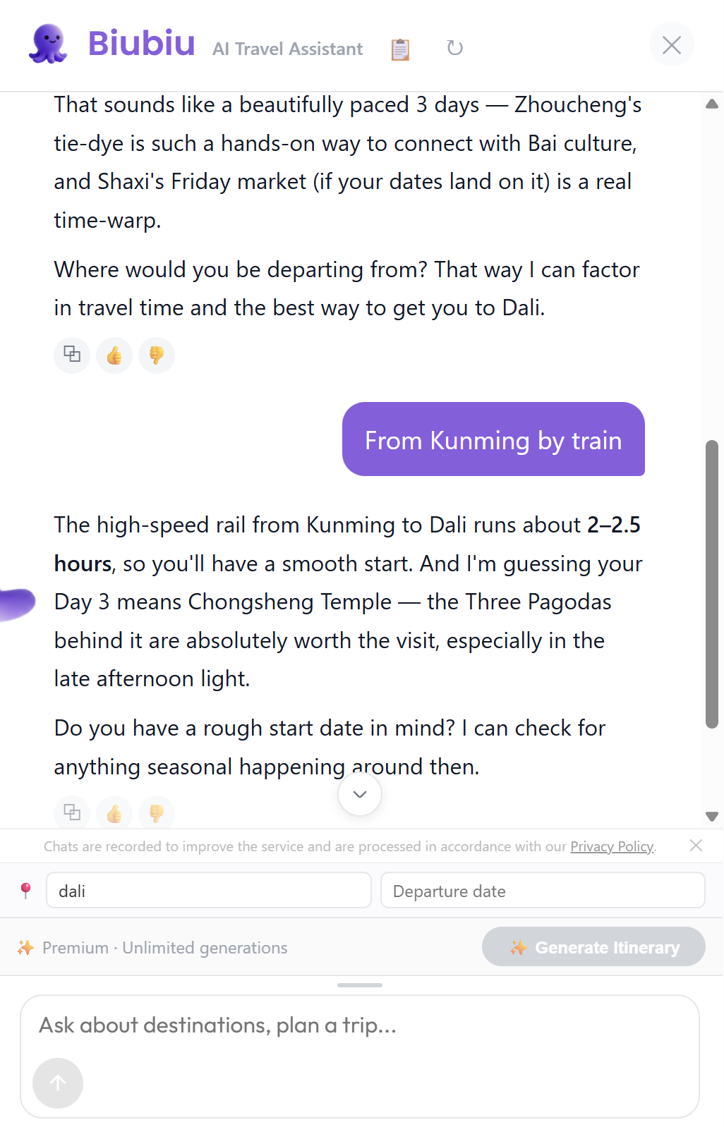 Chatting with Biubiu before generating